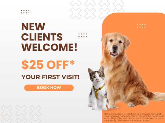 New Client 25 off New Client 25 off