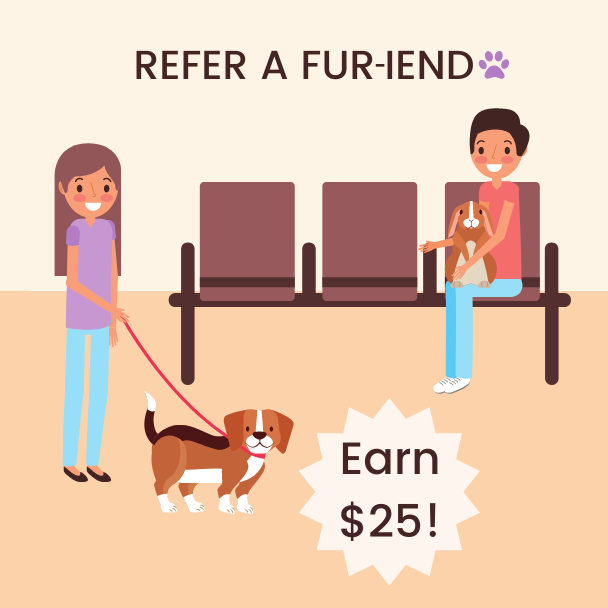 Refer-a-Fur-iend-Graphic Refer Fur-iends